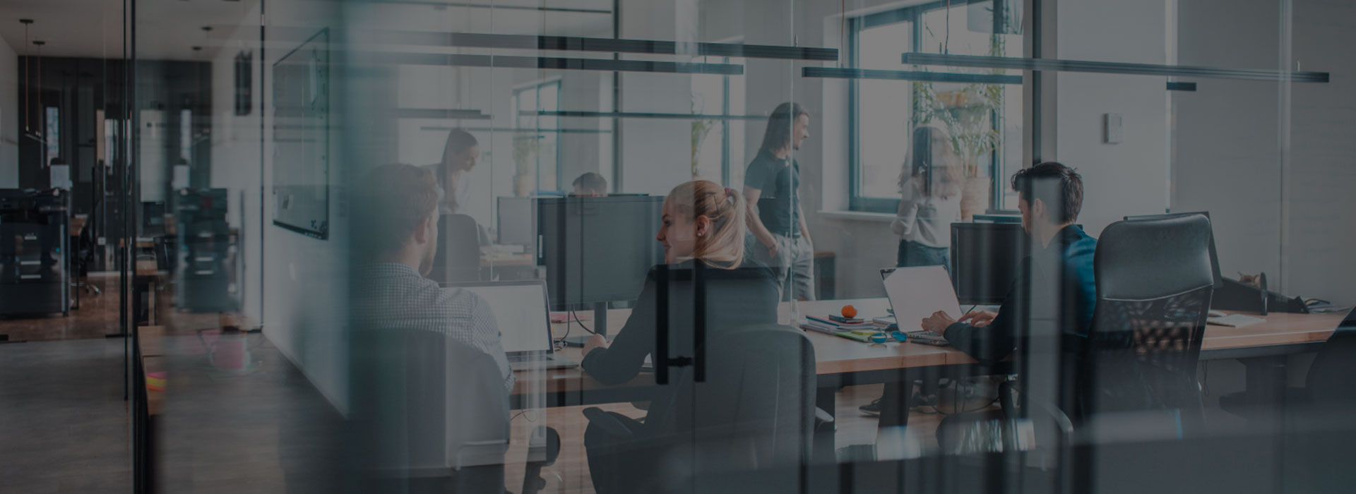 芯安微眾（上海）微電子技術(shù)有限公司（CCSMEC)